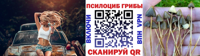 Галлюциногенные грибы прущие грибы Купить где Боготол